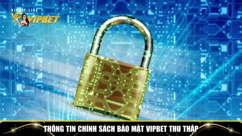 Chính Sách Bảo Mật Tại Vipbet – Bảo Vệ An Toàn Thành Viên 2 Thông tin chính sách bảo mật Vipbet thu thập