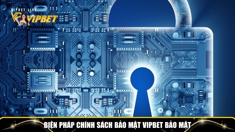 Chính Sách Bảo Mật Tại Vipbet – Bảo Vệ An Toàn Thành Viên 3 Biện pháp chính sách bảo mật Vipbet bảo mật