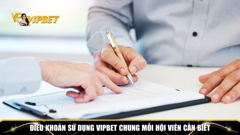 Điều Khoản Sử Dụng Vipbet: Thông Tin Quan Trọng Mọi Người Dùng Cần Biết 2 Tổng hợp điều khoản sử dụng Vipbet chung